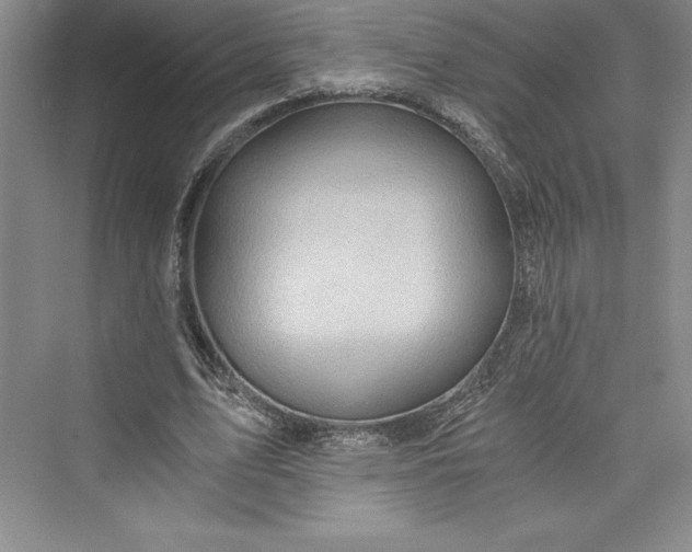 X0000073390583200608111235