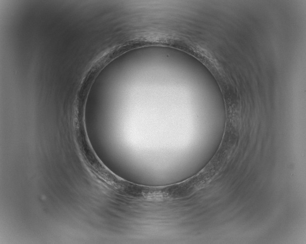 X0000073390587200608111235
