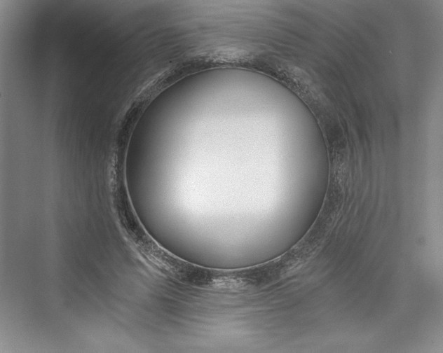 X0000073390591200608111235