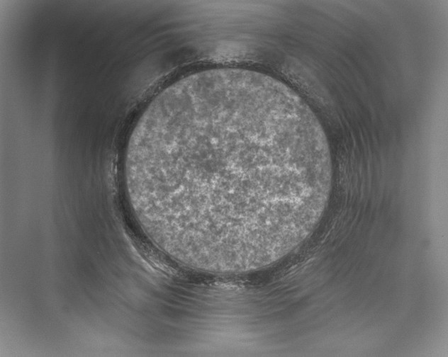 X0000073390592200608111235