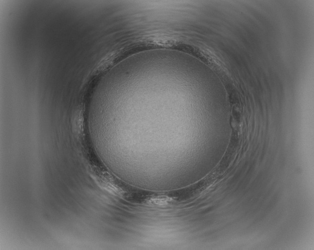 X0000073390595200608111235