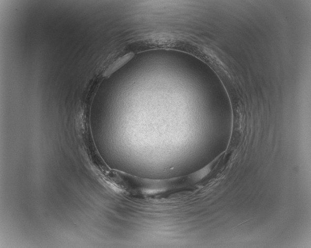 X0000073390597200608111235