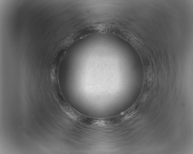 X0000073390611200608111235