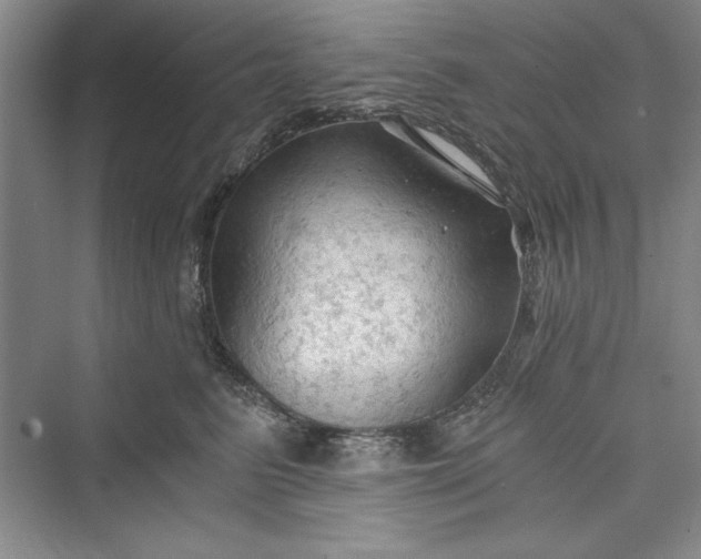 X0000073390615200608111235