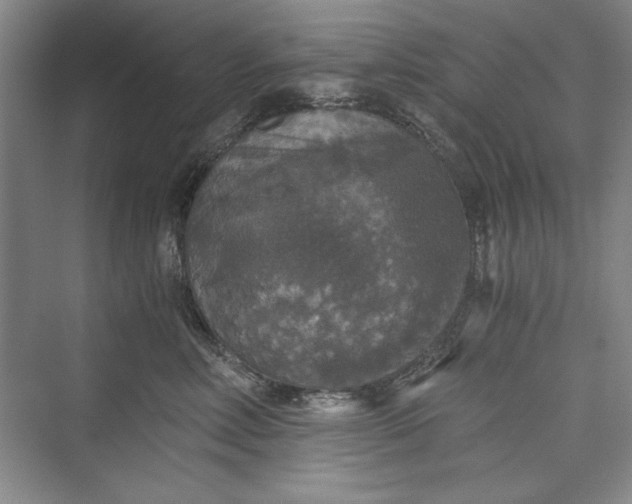 X0000073390618200608111234
