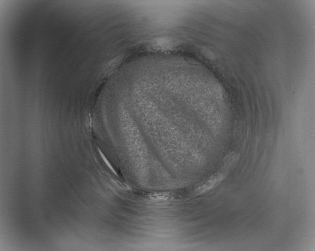 X0000073390624200608111234