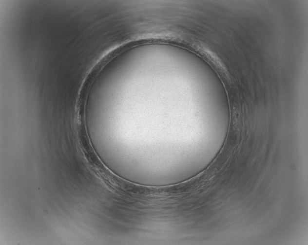 X0000073390628200608111234