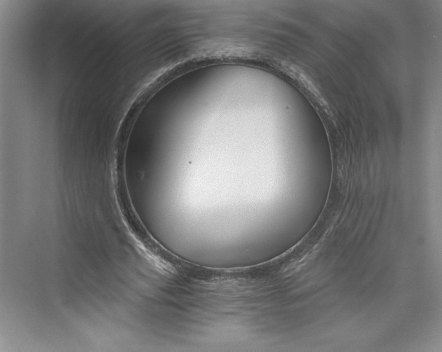 X0000073390629200608111234