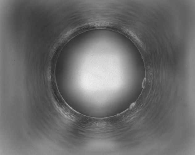 X0000073390631200608111234