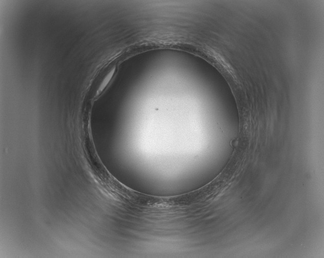 X0000073390635200608111234