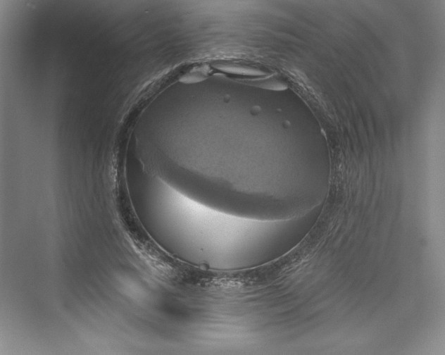 X0000073390640200608111234