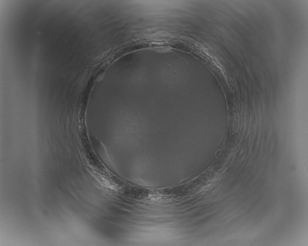 X0000073390641200608111234