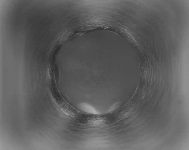 X0000073390643200608111234