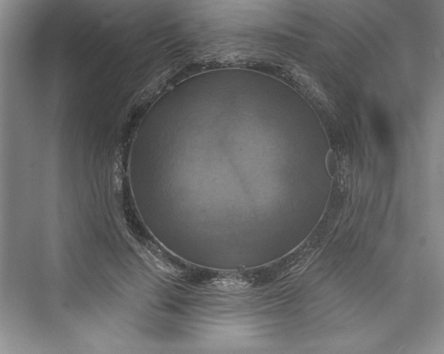 X0000073390644200608111234