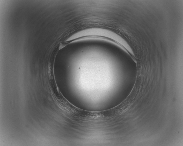 X0000073390646200608111234