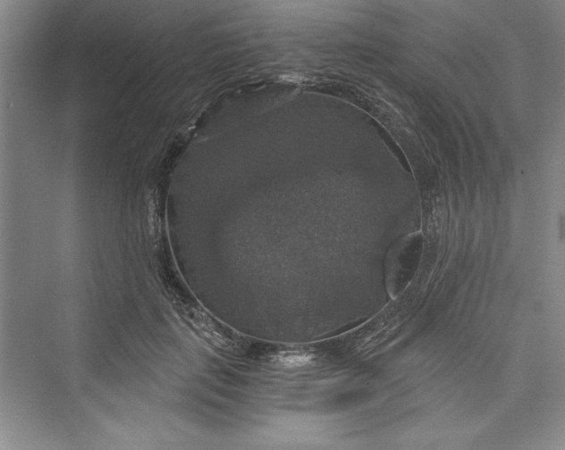 X0000073390651200608111234