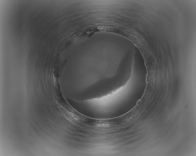 X0000073390653200608111234