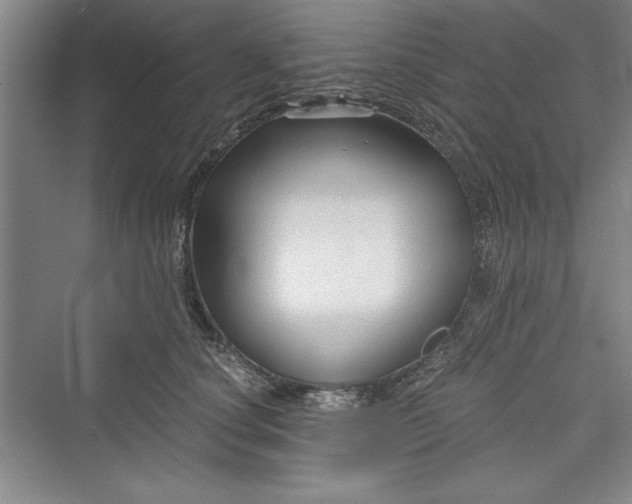 X0000073390660200608111234
