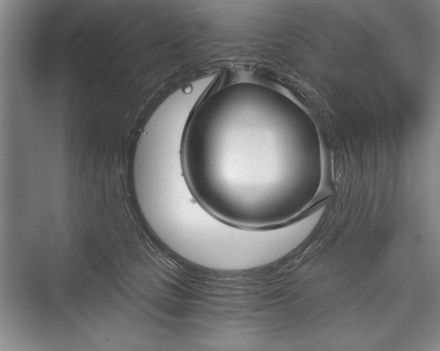 X0000073390661200608111234