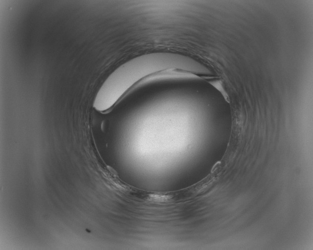 X0000073390665200608111234