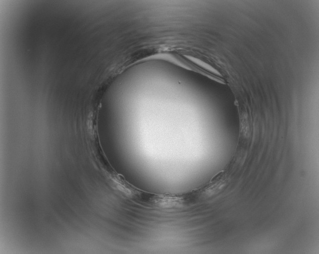 X0000073390670200608111234