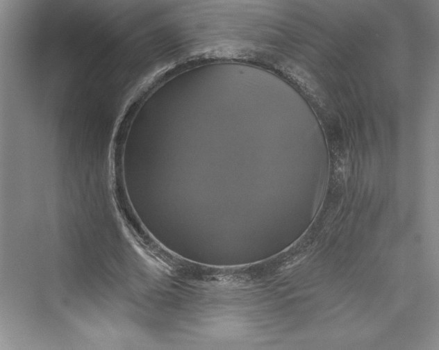 X0000073390678200608111233