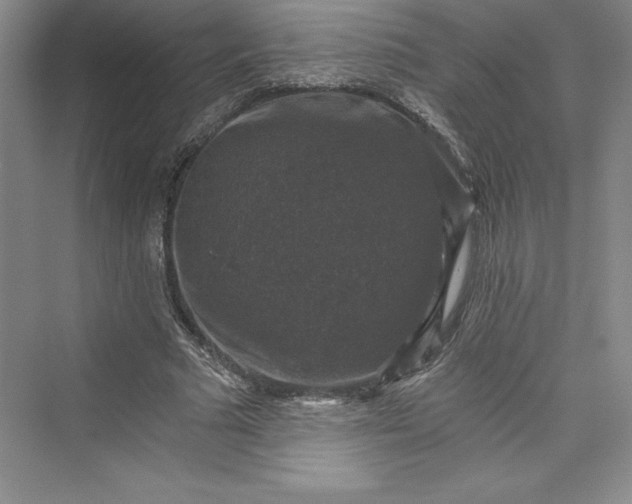 X0000073390681200608111233