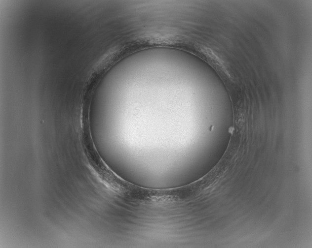 X0000073390686200608111233