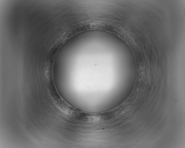 X0000073390698200608111233