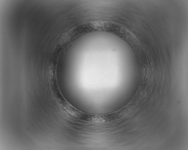 X0000073390702200608111233
