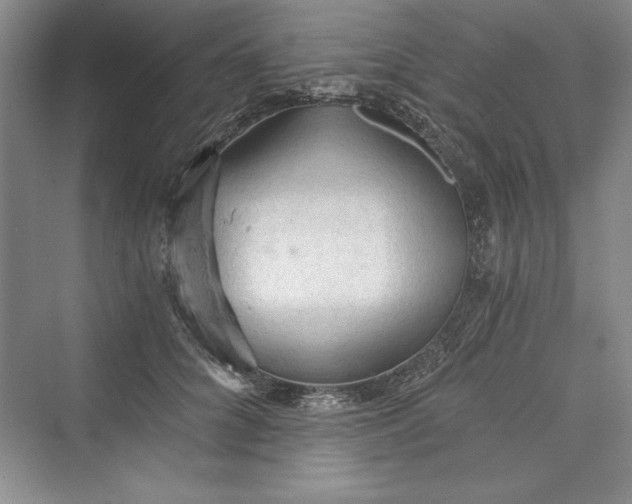 X0000073390704200608111233