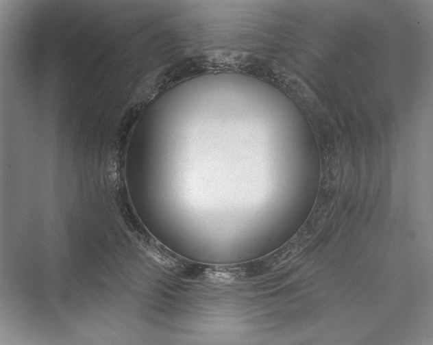 X0000073390706200608111233