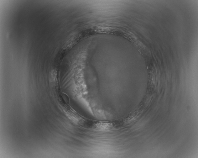 X0000073390711200608111233