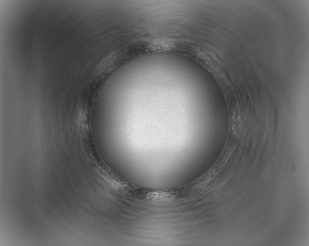 X0000073390714200608111233