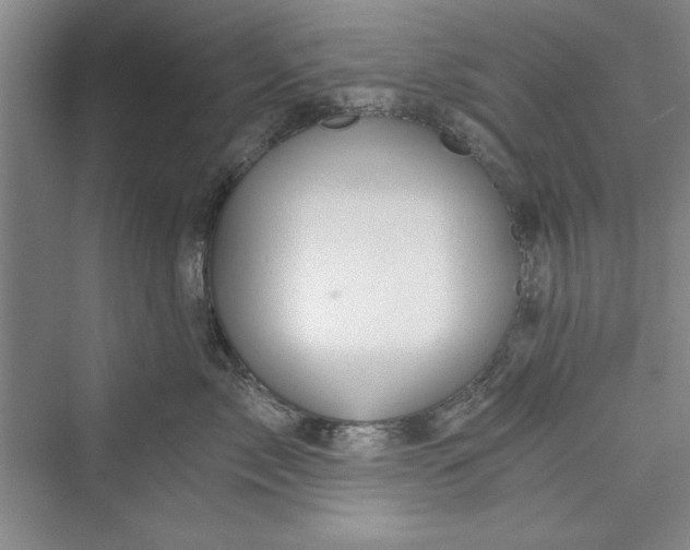 X0000073390717200608111233