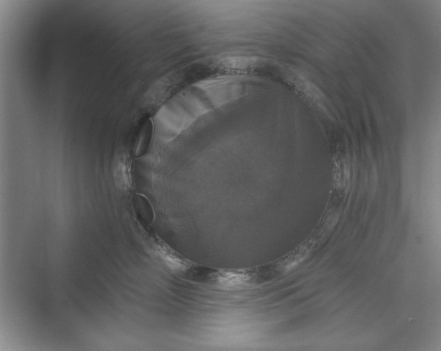 X0000073390718200608111233