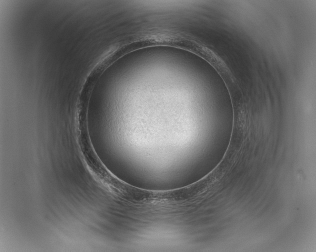 X0000073390730200608111232