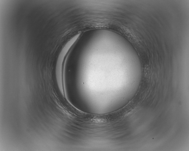 X0000073390741200608111232