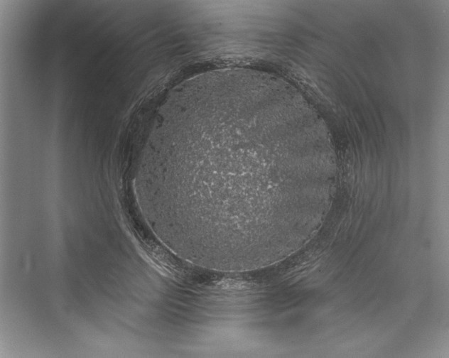 X0000073390742200608111232
