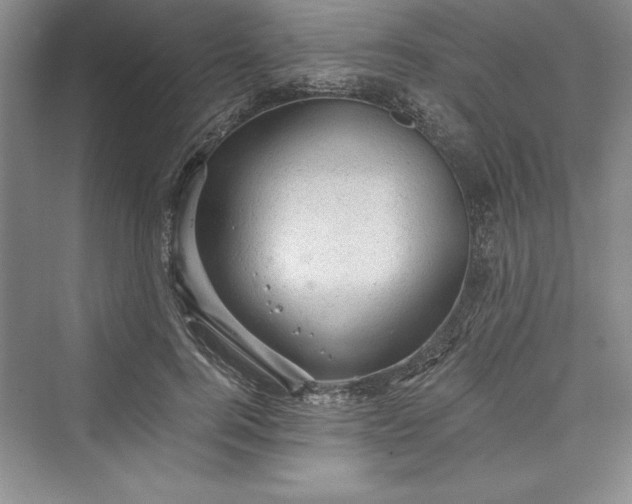 X0000073390744200608111232