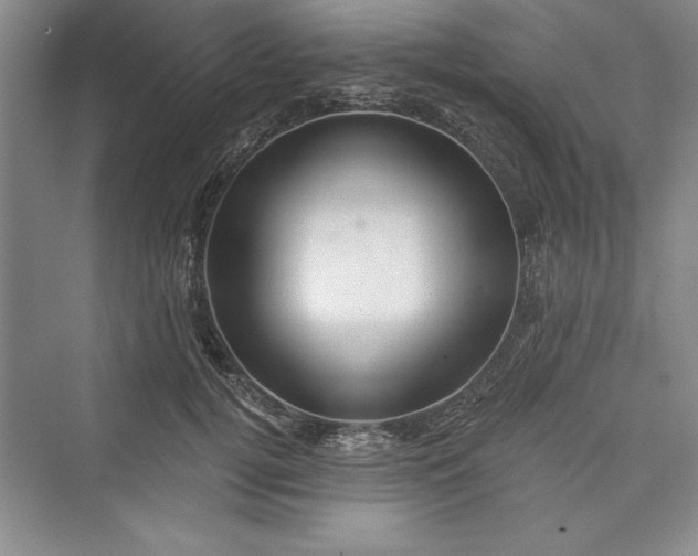 X0000073390752200608111232