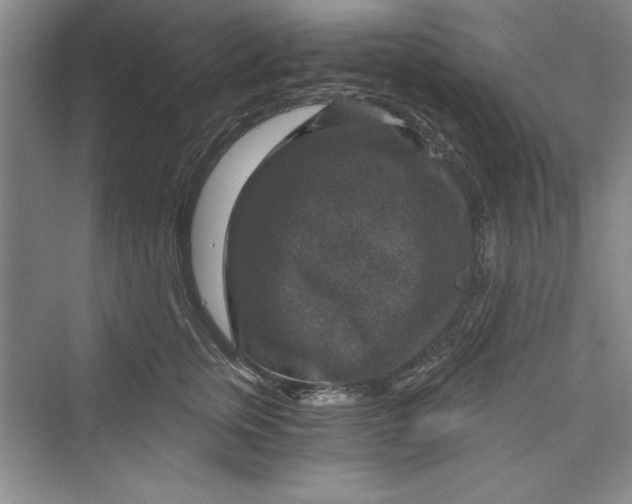 X0000073390759200608111233