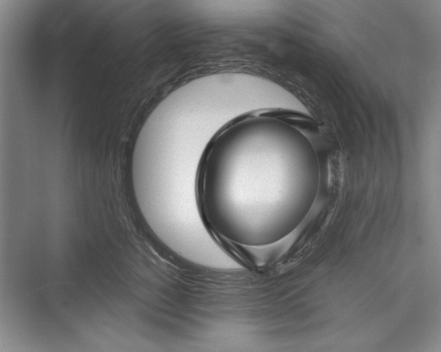 X0000073390760200608111233