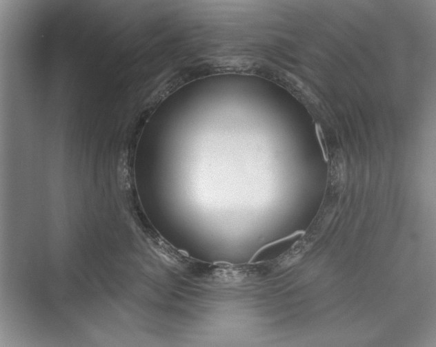 X0000073390764200608111233