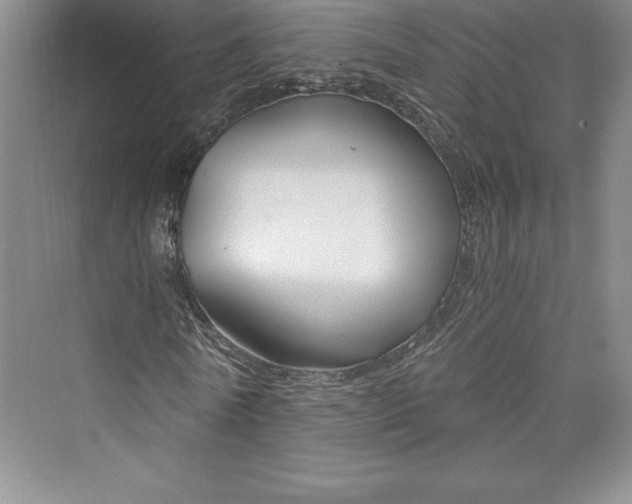 X0000073390770200608111232
