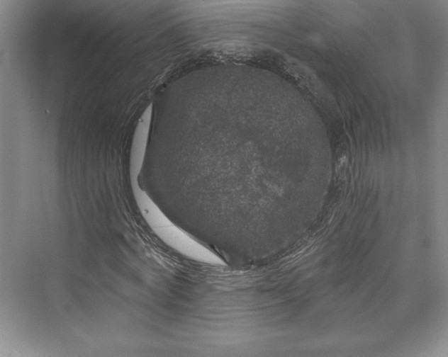X0000073390772200608111232