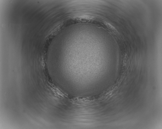 X0000073390774200608111232