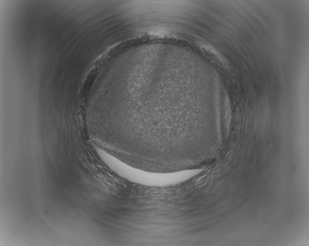 X0000073390776200608111232