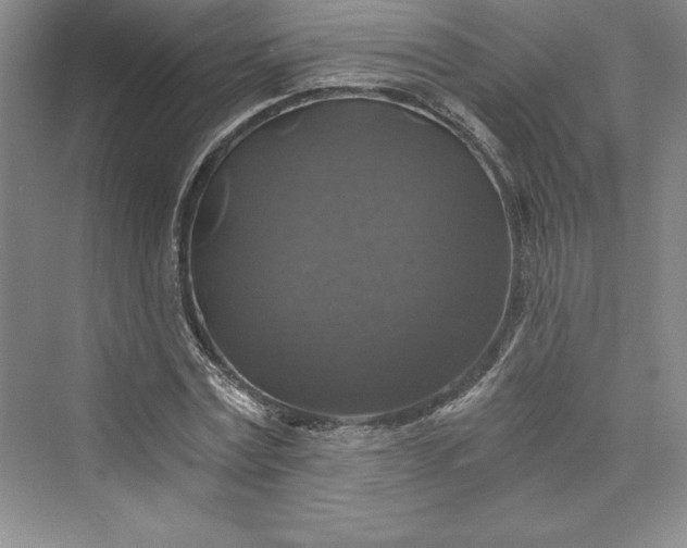 X0000073390779200608111232