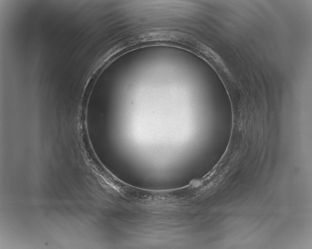 X0000073390786200608111232